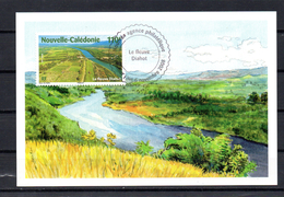 NOUVELLE CALEDONIE 2008 CARTE MAXIMUM TIMBRES N°1057/58 LE FLEUVE DIAHOT - Cartoline Maximum