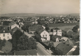 SAINT LOUIS - Vue Générale (1952) - Saint Louis