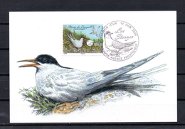 NOUVELLE CALEDONIE 2009 CARTE MAXIMUM TIMBRES N°1066/68 OISEAUX - LES STERNES - Cartoline Maximum