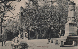 AK Pillnitz Ruine Bei Borsberg Reitzendorf Krieschendorf Malschendorf Zaschendorf Schönfeld Dresden Graupa Niederpoyritz - Pillnitz