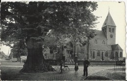 Zoersel Bij Westmalle   -   De Lindeboom En De Kerk - Zoersel