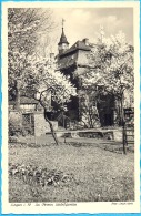 Germany. Siegen. Schlossgarten. The Castle. - Siegen