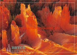 Bryce Canyon - Bryce Canyon