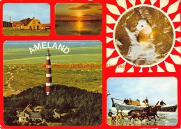 Ameland - Ameland