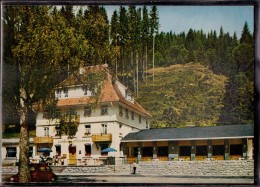 Hinterzarten - Gasthof Pension Löffelschmiede - Hinterzarten