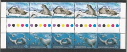 ANTARTIDA AUSTRALIANA FAUNA MARINA INTERPANEL CON SEMAFORO LEOPARD SEAL FOCA MAMIFERO POLO SUR - Fauna Antártica