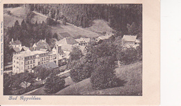 AK Bad Rippoldsau - Ca. 1910/20 (25949) - Bad Rippoldsau - Schapbach