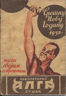 Calendar KA000014 - Alga Susak 1937 - Kleinformat : 1921-40