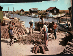 CPSM 17 Bassin OSTRÉICOLE De MARENNES OLERON Le Détroquage Des Huîtres Au Chenal D'ORS - Saint-Pierre-d'Oleron