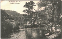 Delcampe - CARTE POSTALE DE POISSONS -   LE PONT TREMBLANT - Poissons