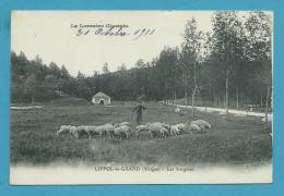 CPA Berger Et Ses Moutons - Les Vergères LIFFOL-LE-GRAND 88 - Liffol Le Grand