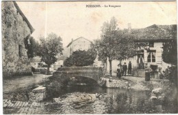 CARTE POSTALE ANCIENNE DE POISSONS  -   LE RONGEANT - Poissons