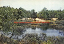 Groeten Uit Hellendoorn - Hellendoorn