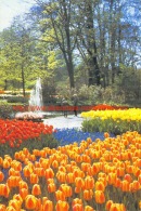 ""Keukenhof"" Lisse - Lisse