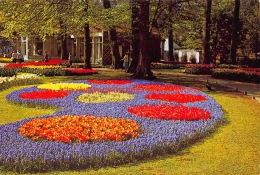 ""Keukenhof"" Lisse - Lisse