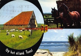 Op Het Eiland Texel - Texel