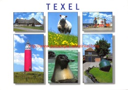 Texel - Texel