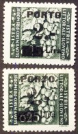 ITALIA - SLOVENIA - JUGOSLAVIA - LITORALE -SEGNATASSE  II+ III  Type - **MNH - 1946 - Occ. Yougoslave: Istria