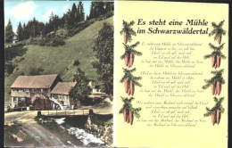 Es Steht Eine Mühle Im Schwarzwäldertal - W-23 - Hochschwarzwald