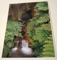 United States Hawaii Akaka Falls 332-H Impact - Used 1988 - Big Island Of Hawaii