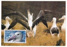 TAAF - Carte Maximum - Grand Albatros - Port Aux Français - Kerguelen - Terre Adélie - 1-1-2007 - Briefe U. Dokumente