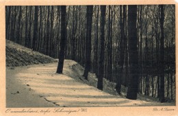 Schweigen Dr Sauer - Steinach Am Brenner