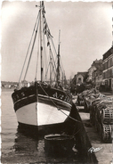 Delcampe - CP Audierne Les Quais 29 Finistère - Audierne