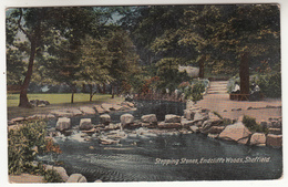 Sheffield, STepping Stones, Endcliffe Woods (pk31498) - Sheffield