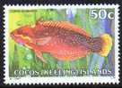 Cocos Islands 1979 Fishes 50c Clown Wrasse MNH  SG 44 - Isole Cocos (Keeling)