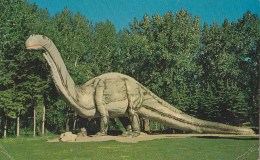 Calgary - Dinosaur Park 1970 - Calgary
