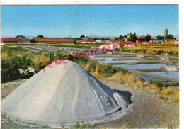 85 - ILE DE NOIRMOUTIER - LES MARAIS SALANTS - Ile De Noirmoutier