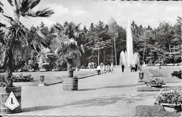 Duitsland/Deutschland, Bad Lippspringe, Partie Aus Dem Kaiser-Karls-Park, 1960 - Bad Lippspringe