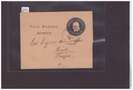 ARGENTINE - GANZSACHE - ENTIER POSTAL - BANDE POUR JOURNAL - Enteros Postales