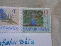 D144489 HUNGARY- Postcard  -stamp   Peacock -  Postcard Dog  Chien Hund - Pfauen