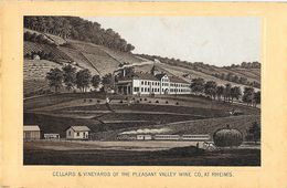 Photo Cartonnée: Cellars & Vineyards Of The Pleasant Valley Wine Co., At Rheims - Format 7,5 X 11,5 Cm - Places