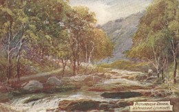 186 - Devon - Watersmeet, Lynmouth - Lynmouth & Lynton