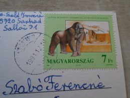 D144499 HUNGARY- Postcard  - Gorilla  Stamp - Budapest  ZOO 125 Yrs  1991 - Gorilles