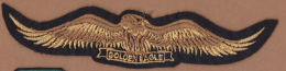 AC - GOLDEN EAGLE  # 2PATCH - Scudetti In Tela