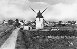 ¤¤  -  110   -  ILE De NOIRMOUTIER    -  BARBATRE  -  Le Moulin Du Gois Et Le Pays    -  ¤¤ - Ile De Noirmoutier