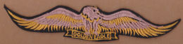 AC - GOLDEN EAGLE  # 3 PATCH - Scudetti In Tela