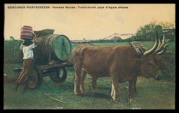 VENDAS NOVAS - CARROS DE BOIS - Tradicional Pipa D'agua Choca. ( Ed. Rodrigues) Carte Postale - Evora