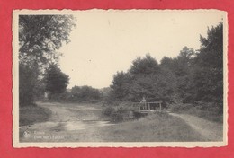 Belgique Province De Luxembourg Erezee Pont Sur L ' Estinal ( Format 9 X 14 ) - Erezée