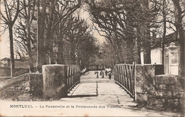 01 AIN : Montluel  La Passerelle Et La Promenade Des Tilleuls   Réf 2309 - Montluel