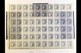 1918 GENERAL ISSUE SPECIALIZED COLLECTION A Fascinating Collection Written- Up And Researched To A High Standard... - Ukraine