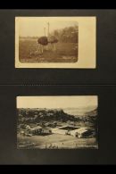 TRANSVAAL INTER PROVINCIALS 1910-12 A Collection Of Monochrome PICTURE POSTCARDS Mostly Addressed To Jersey... - Non Classés