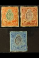 ORANGE RIVER COLONY REVENUE 1903 KEVII 10s Orange & Green, £2 Brown & Violet, Both Wmk Crown CC,... - Unclassified