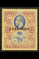 1923 £2 Blue And Dull Purple Opt'd "SPECIMEN", SG 147s, Mint No Gum. For More Images, Please Visit... - Sierra Leona (...-1960)
