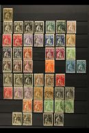 PORTUGUESE GUINEA 1913-1973 ATTRACTIVE COLLECTION On Stock Pages, Mint (some Later Are Never Hinged) Or Used... - Autres & Non Classés