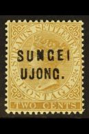 NEGRI SEMBILAN 1883 2c Brown Overprinted "SUNGEI UJONG", SG 28, Very Fine Mint. For More Images, Please Visit... - Sonstige & Ohne Zuordnung