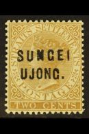 NEGRI SEMBILAN 1883 2c Brown Overprinted "SUNGEI UJONG", SG 28, Very Fine Mint. For More Images, Please Visit... - Andere & Zonder Classificatie